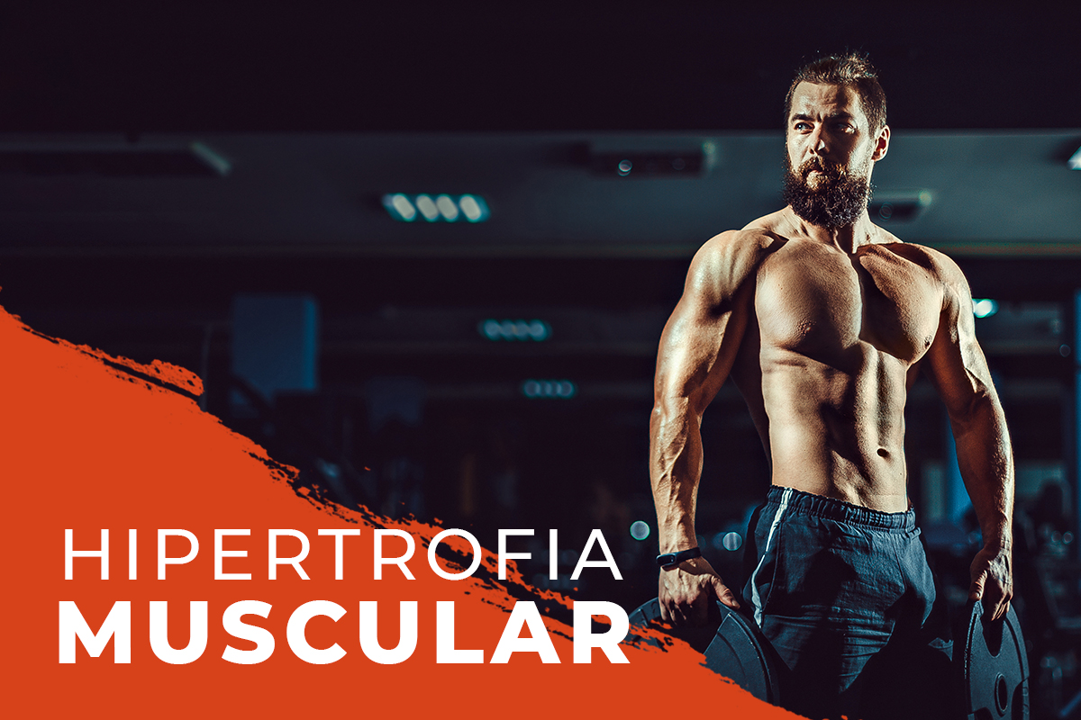 2 HIPERTROFIA MUSCULAR